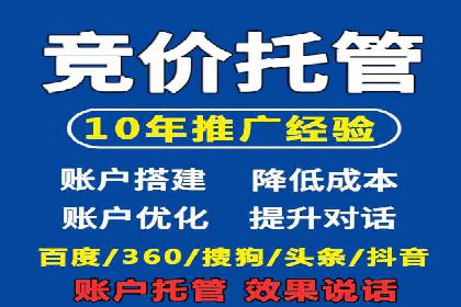 SEM搜索引擎优化：成功案例解析